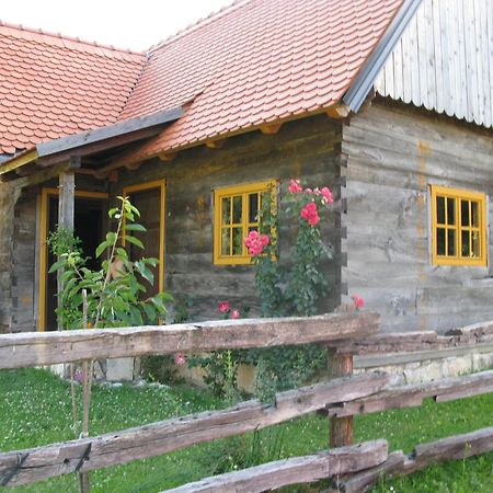 Apartments And Rooms Kristina Drežnik Grad Eksteriør bilde